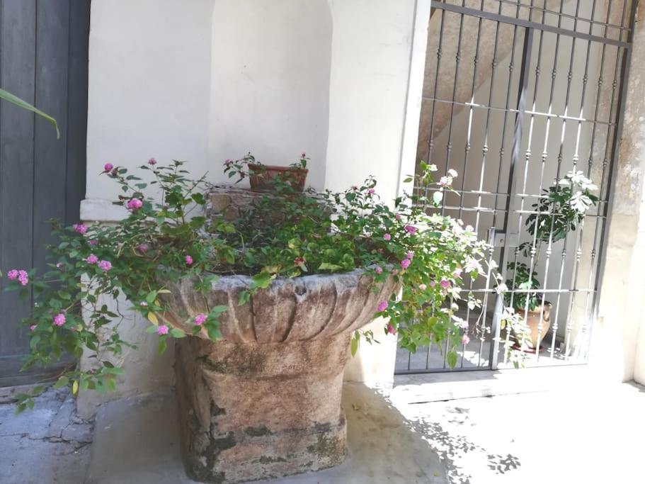 Residenza Lincoln Apartment Palermo Ngoại thất bức ảnh